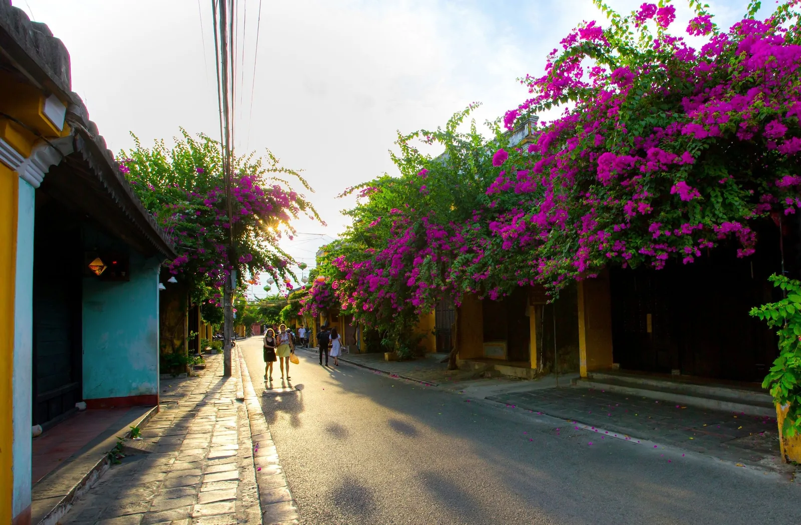 Pink bougainvillea blooms drape over old houses along a sunlit street in Hoi An.